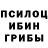 Галлюциногенные грибы ЛСД Krum Evpatoria