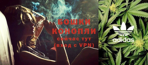 крисы Пересвет